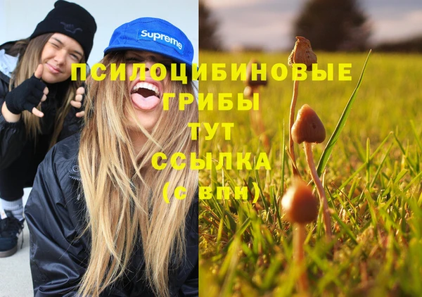 мет Горно-Алтайск
