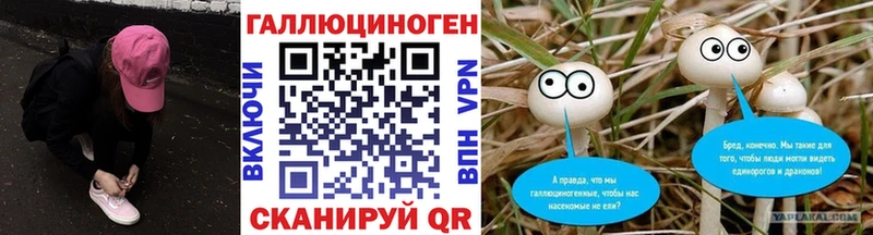 купить наркотики цена  Дальнереченск  Галлюциногенные грибы мухоморы 