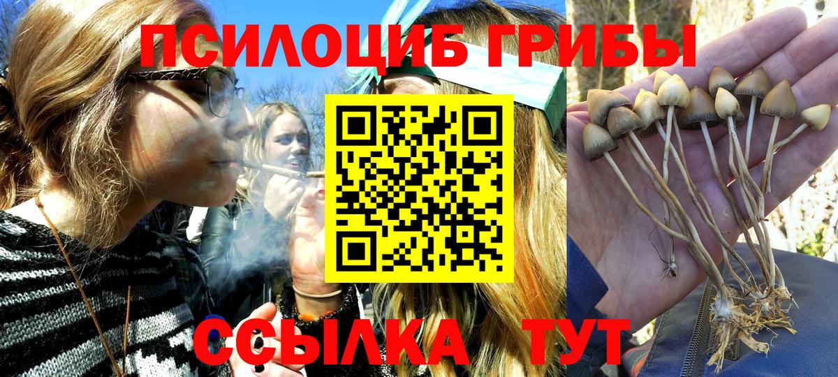 Дальнереченск  Галлюциногенные грибы MAGIC MUSHROOMS  Вход с VPN 