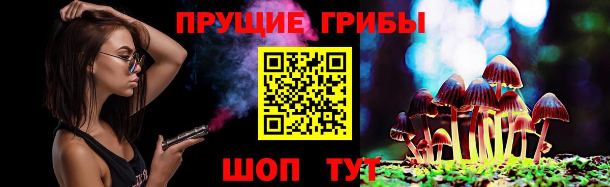Псилоцибиновые грибы мицелий Дальнереченск